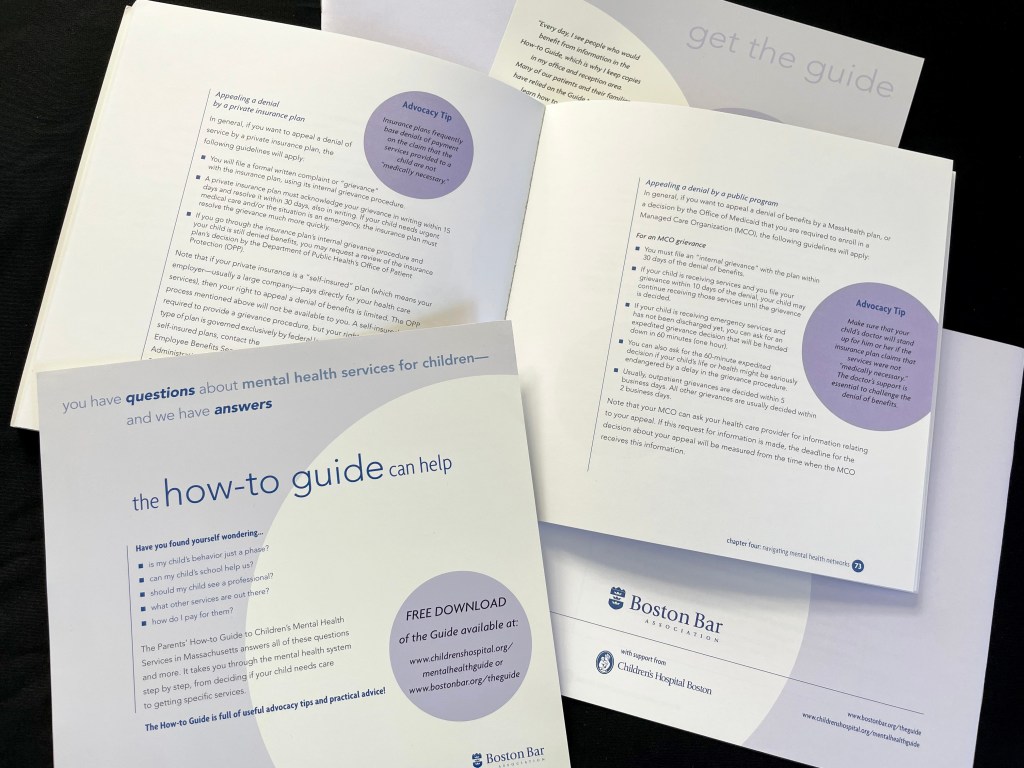 Photo of an open guidebook showing sample pages of the layout, text, and graphics.